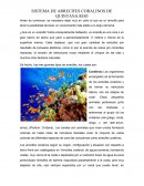 Arrecifes de Quintana Roo