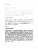 Diagnostico socioambiental tamiahua