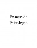 EL TENER NEE NO IMPIDE SER PADRE