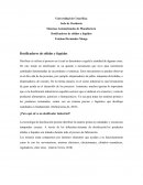 Sistemas Automatizados de Manufactura. Dosificadores de sólidos y líquidos