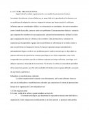 Cultura organizacional. Indicadores y manifestaciones culturales