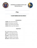 PIA >CONTAMINACION DE RIOS<