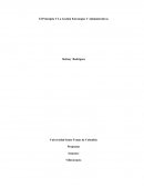 EL PRINCIPITO Y LA GESTION ESTRATEGIAS Y ADMINITRACION