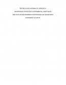 Fase ejecución de proyecto