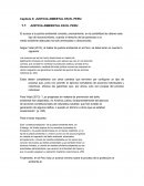 JUSTICIA AMBIENTAL EN EL PERU