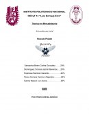 Mercadotecnia Social Rescate Peludo