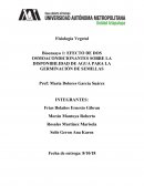 Bioensayo, lenteja y trigo