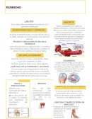 Huesos y articulaciones