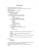 Endocrinología