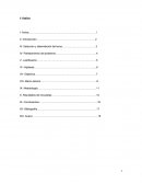 ANALFABETISMO METODOLOGIА