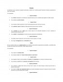 Plan de vida corto plazo