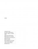 Plan estratégico de mercadotecnia Mercadito imperial