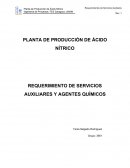 REQUERIMIENTO DE SERVICIOS AUXILIARES Y AGENTES QUÍMICOS