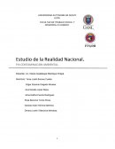 PIA CONTAMINACION AMBIENTAL.