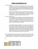 TAREA ACADEMICA CGI