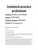 Seminario practica profesional