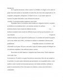 Grupos funcionales en el dia a dia