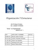 Organización Y Estructuras