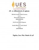 Reporte, plan de mercadotecnia (Ensayo)