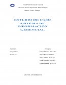 Sistema de informacion gerencial empresa Andulfo