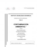Trabajo de investigación contaminación ambiental