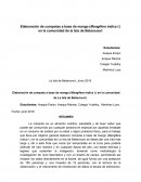 Elaboración de una compota de mango