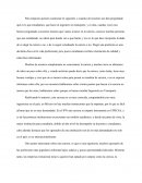 Ingenieria en Transporte