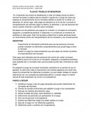 PLAN DE TRABAJO DE MONORUSH