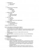 Temario derecho internacional publico