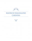 MAURICIO MAGDALENO CARDONA