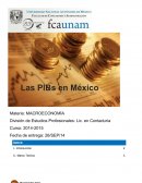 Los PIBs en México