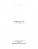 INVESTIGACIÓN EN EL SECTOR DE LA MADERA