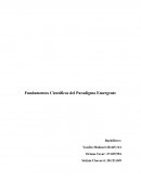 Fundamentos cientificos del paradigma emergente
