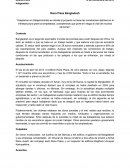 Rana Plaza Bangladesh