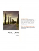 Plan de negocio Agro Cruz