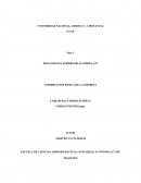 EMPRESA DE AVIACIÓN VIVA AIR COLOMBIA