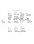 Actividad de Organización y Jerarquización de la etapa1