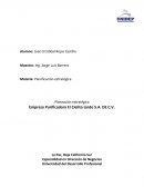 Planeación estratégica Empresa Purificadora El Cielito Lindo S.A. DE C.V.