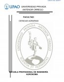 El Aborto (ensayo)