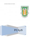 CASOS PRACTICOS DE DERECHO ROMANO