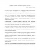 Descripción Documental, Clasificación y buen manejo archivístico