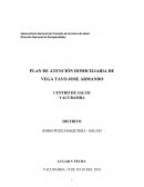 PLAN DE ATENCION DOMICILIARIA