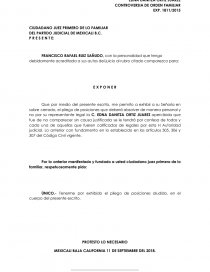 OFRECIMIENTO Y PLIEGO DE POSICIONES. Página 1