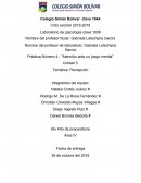 Práctica Número 4 : ”Atención ante un juego mental”