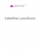 DISEÑO ORGANIZATIVO SOBRE EMPRESA Cabañitas Luscofusco