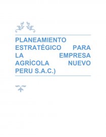 PLANEAMIENTO ESTRATÉGICO PARA LA EMPRESA AGRÍCOLA NUEVO PERU S.A.C. Página 1