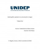 Diseño gráfico aplicado a la comunicación e imagen