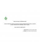 MAPA CONCEPTUAL SARLAFT