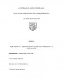 Elaboración de pan para hot dog y hamburguesa y su análisis sensorial