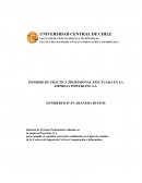 INFORME DE PRACTICA PROFESIONAL EFECTUADA EN LA EMPRESA POWERLINE S.A.